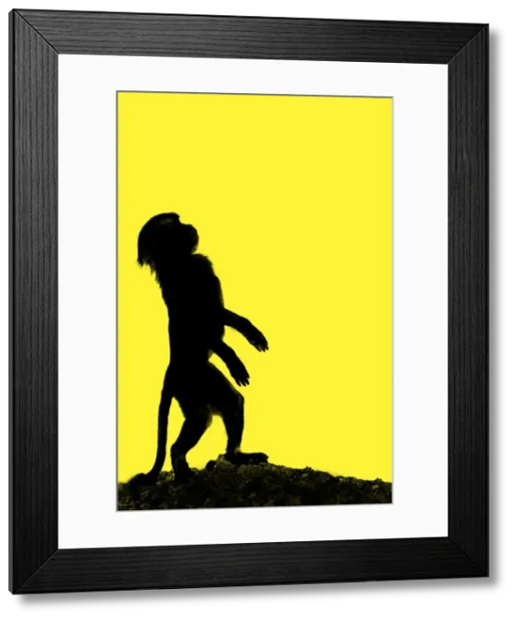 Framed Print : Picture No. 10984723 Framed Print : Picture No. 10984723
