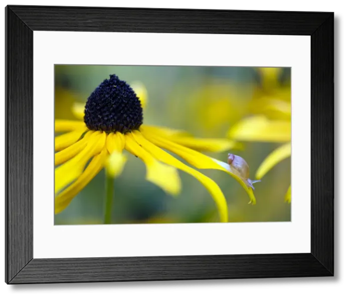Framed Print : Picture No. 10984708 Framed Print : Picture No. 10984708