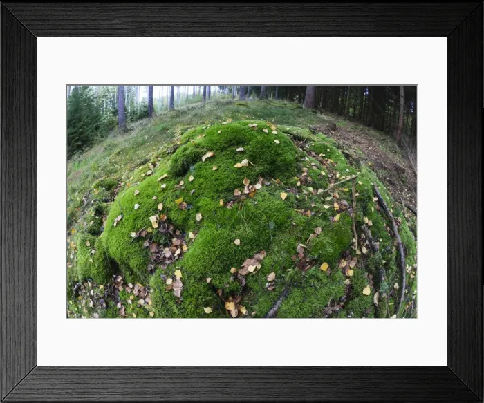 Framed Print : Picture No. 10984688 Framed Print : Picture No. 10984688