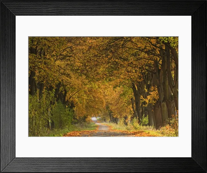 Framed Print : Picture No. 10984691 Framed Print : Picture No. 10984691