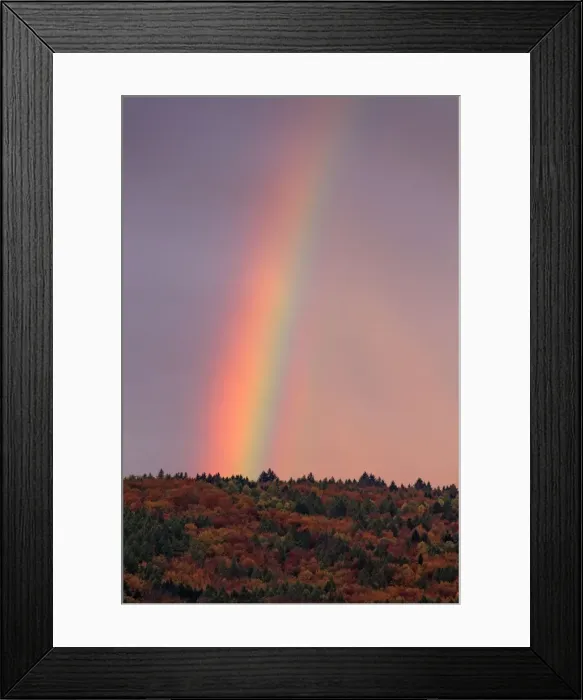 Framed Print : Picture No. 10984697 Framed Print : Picture No. 10984697