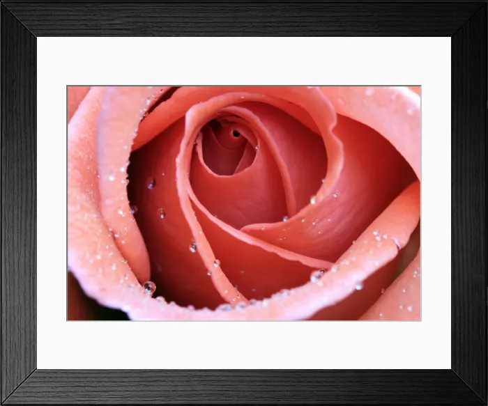 Framed Print : Picture No. 10984702 Framed Print : Picture No. 10984702