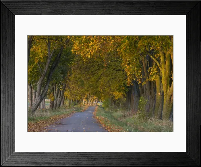 Framed Print : Picture No. 10984690 Framed Print : Picture No. 10984690