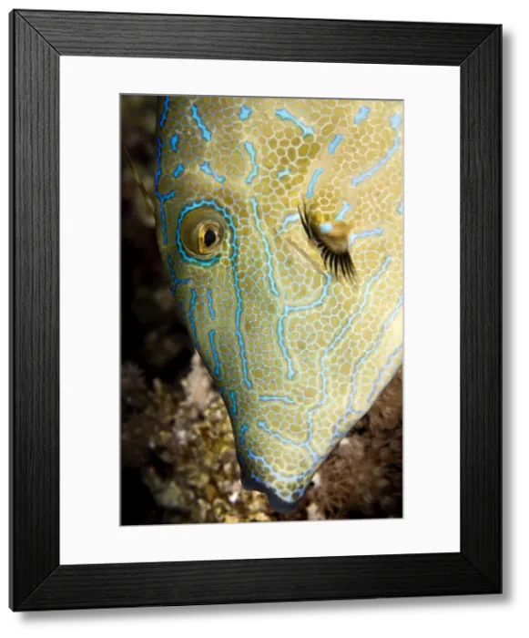 Framed Print : Picture No. 10890825 Framed Print : Picture No. 10890825