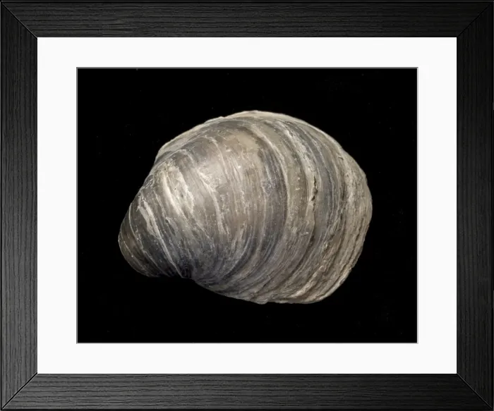 Framed Print : Picture No. 10891112 Framed Print : Picture No. 10891112
