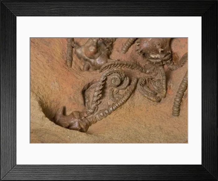 Framed Print : Picture No. 10891089 Framed Print : Picture No. 10891089