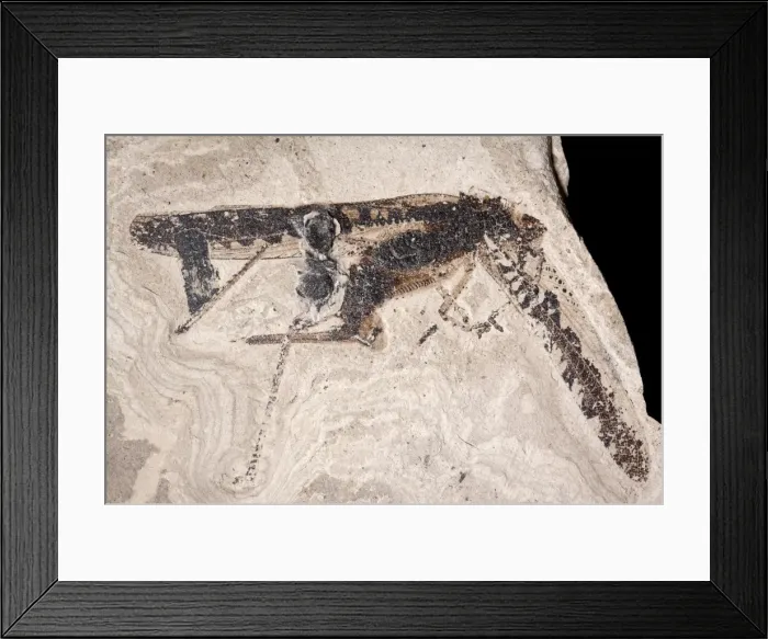Framed Print : Picture No. 10891103 Framed Print : Picture No. 10891103