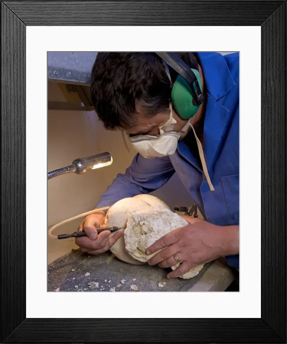 Framed Print : Picture No. 10891097 Framed Print : Picture No. 10891097