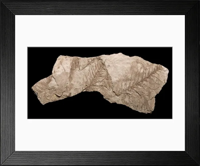 Framed Print : Picture No. 10891110 Framed Print : Picture No. 10891110
