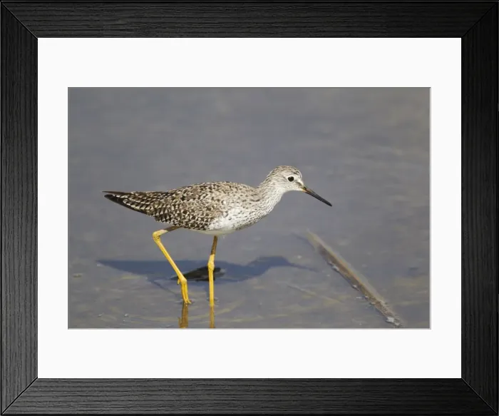 Framed Print : Picture No. 10892452 Framed Print : Picture No. 10892452