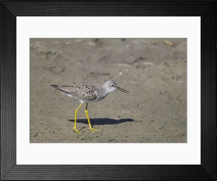 Framed Print : Picture No. 10892455 Framed Print : Picture No. 10892455