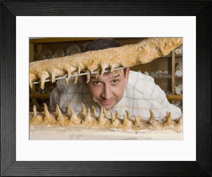 Framed Print : Picture No. 10891085 Framed Print : Picture No. 10891085