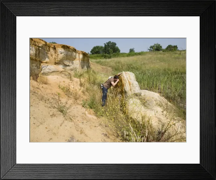 Framed Print : Picture No. 10891076 Framed Print : Picture No. 10891076