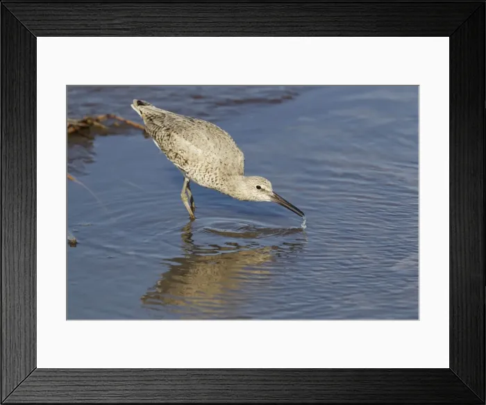 Framed Print : Picture No. 10892450 Framed Print : Picture No. 10892450