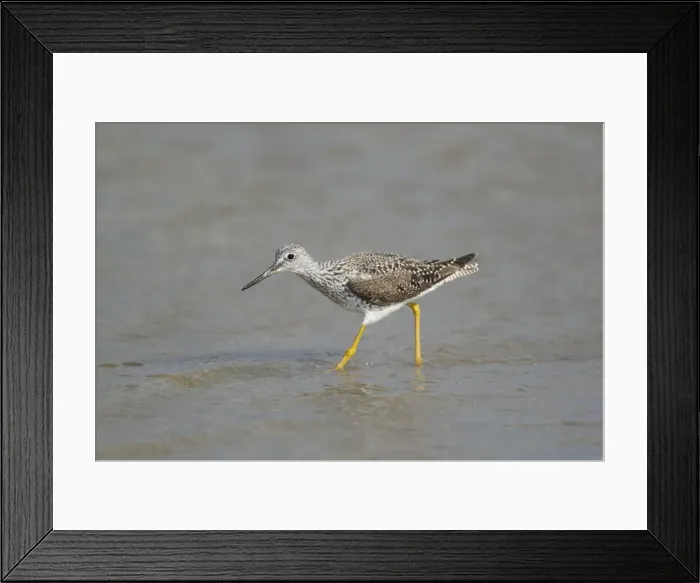Framed Print : Picture No. 10892453 Framed Print : Picture No. 10892453
