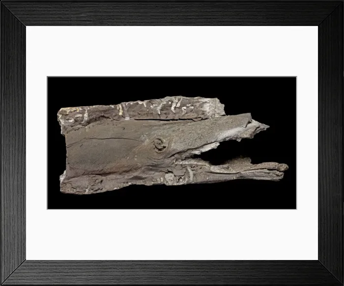 Framed Print : Picture No. 10891114 Framed Print : Picture No. 10891114
