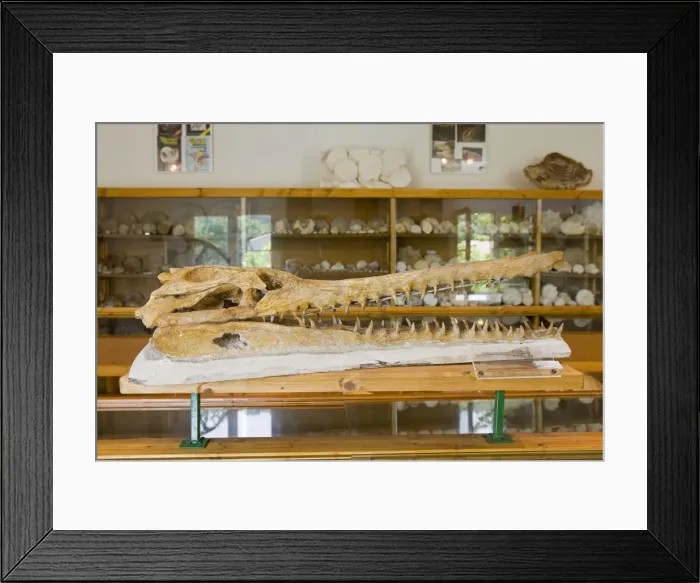 Framed Print : Picture No. 10891082 Framed Print : Picture No. 10891082