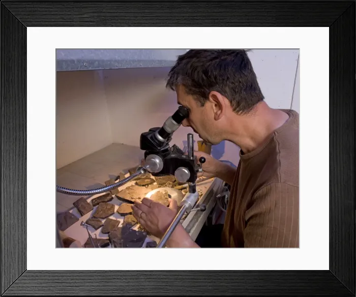 Framed Print : Picture No. 10891096 Framed Print : Picture No. 10891096