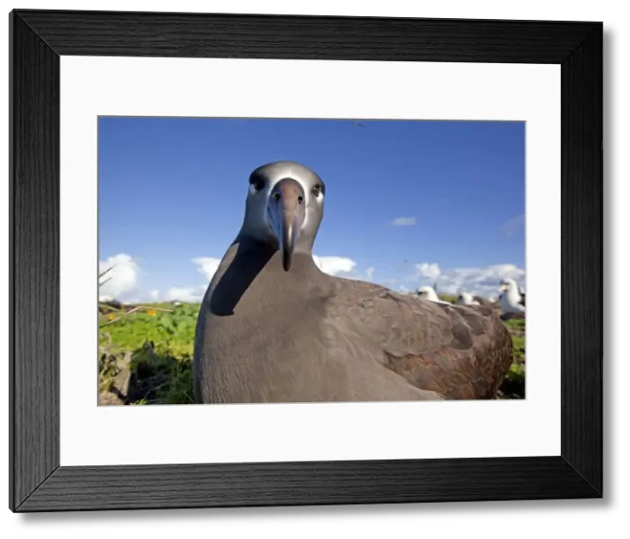 Framed Print : Picture No. 10891705 Framed Print : Picture No. 10891705