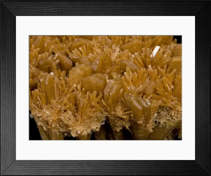 Framed Print : Picture No. 10891093 Framed Print : Picture No. 10891093