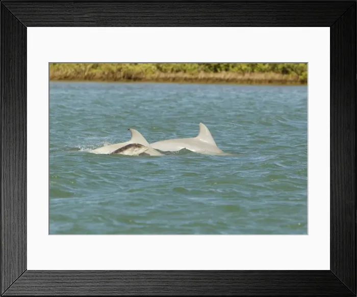 Framed Print : Picture No. 10892473 Framed Print : Picture No. 10892473