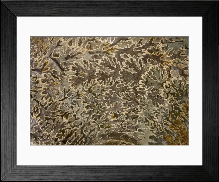 Framed Print : Picture No. 10891090 Framed Print : Picture No. 10891090