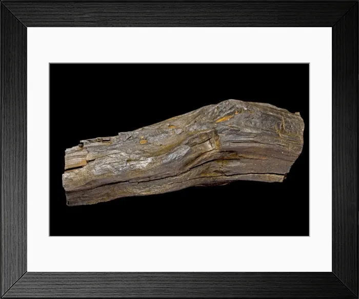 Framed Print : Picture No. 10891113