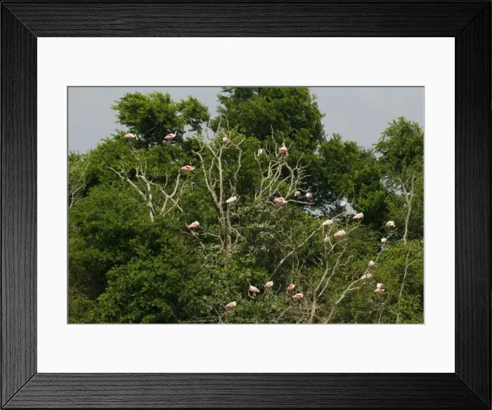 Framed Print : Picture No. 10892426 Framed Print : Picture No. 10892426