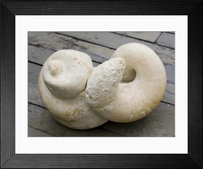 Framed Print : Picture No. 10891094 Framed Print : Picture No. 10891094