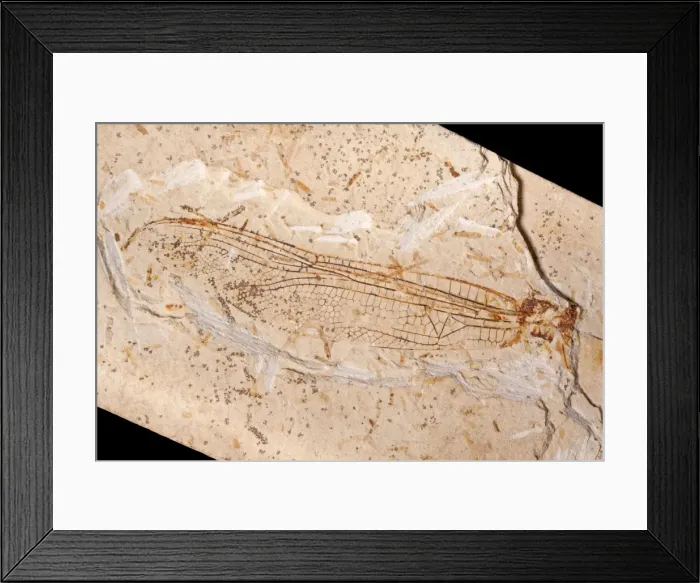 Framed Print : Picture No. 10891102 Framed Print : Picture No. 10891102