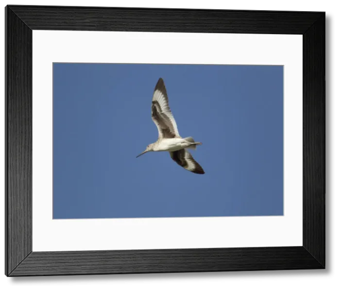Framed Print : Picture No. 10892451 Framed Print : Picture No. 10892451
