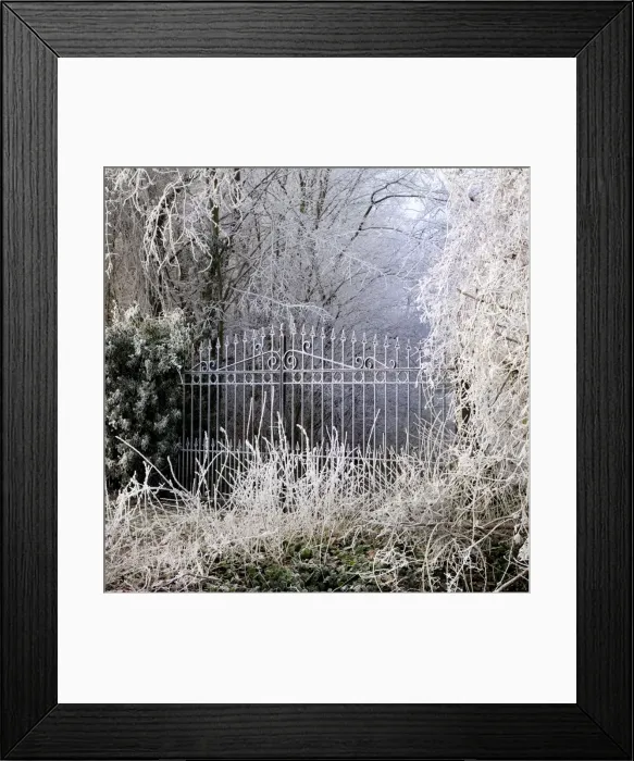 Framed Print : Picture No. 10892884 Framed Print : Picture No. 10892884