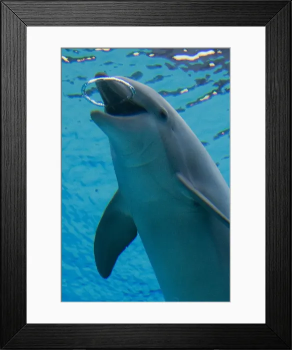 Framed Print : Picture No. 10892878 Framed Print : Picture No. 10892878