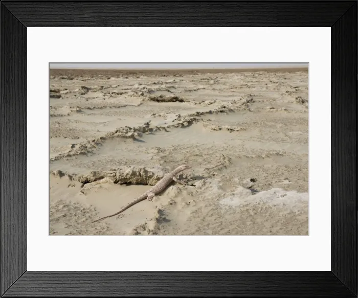 Framed Print : Picture No. 10894615 Framed Print : Picture No. 10894615