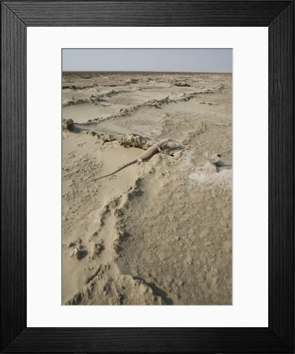 Framed Print : Picture No. 10894617 Framed Print : Picture No. 10894617