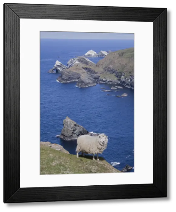 Framed Print : Picture No. 10894572 Framed Print : Picture No. 10894572