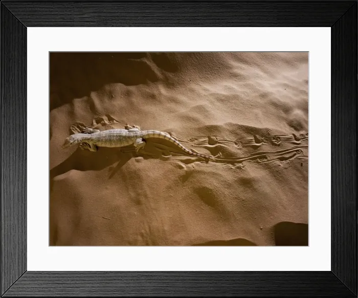 Framed Print : Picture No. 10894586 Framed Print : Picture No. 10894586