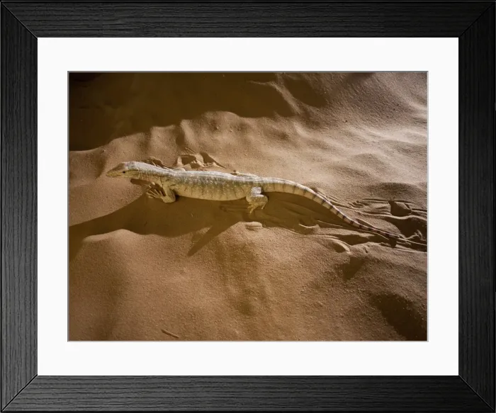 Framed Print : Picture No. 10894585 Framed Print : Picture No. 10894585