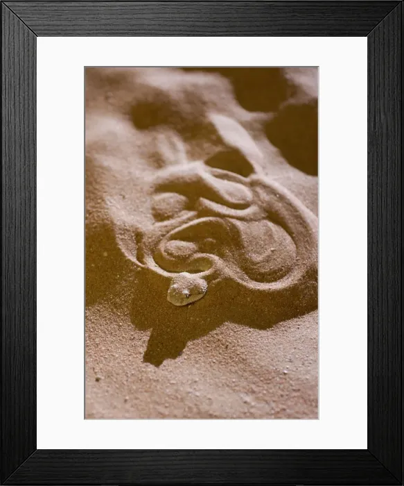 Framed Print : Picture No. 10894604 Framed Print : Picture No. 10894604