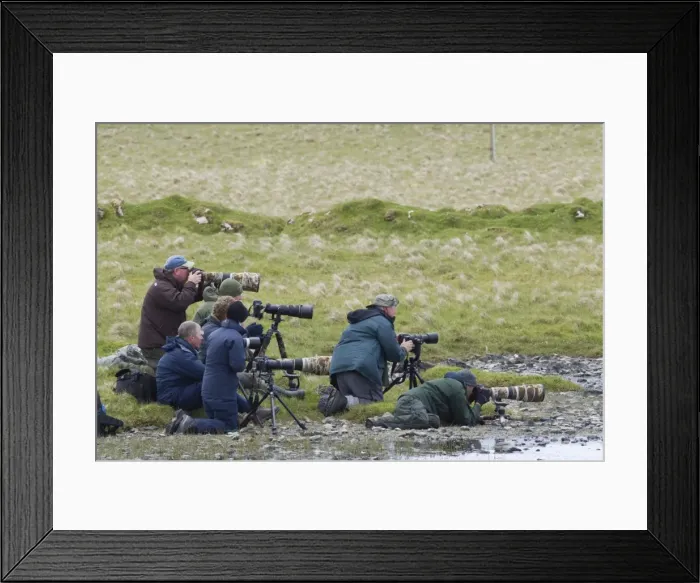 Framed Print : Picture No. 10894582 Framed Print : Picture No. 10894582