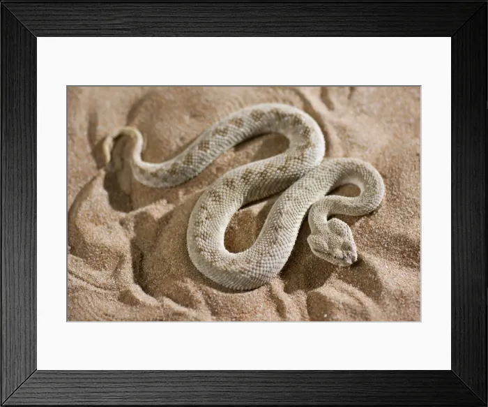 Framed Print : Picture No. 10894605 Framed Print : Picture No. 10894605