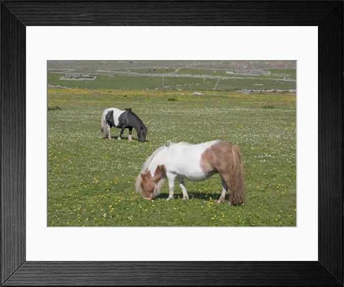 Framed Print : Picture No. 10894580 Framed Print : Picture No. 10894580