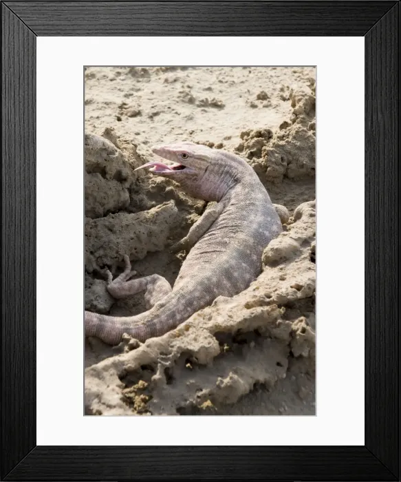 Framed Print : Picture No. 10894613 Framed Print : Picture No. 10894613
