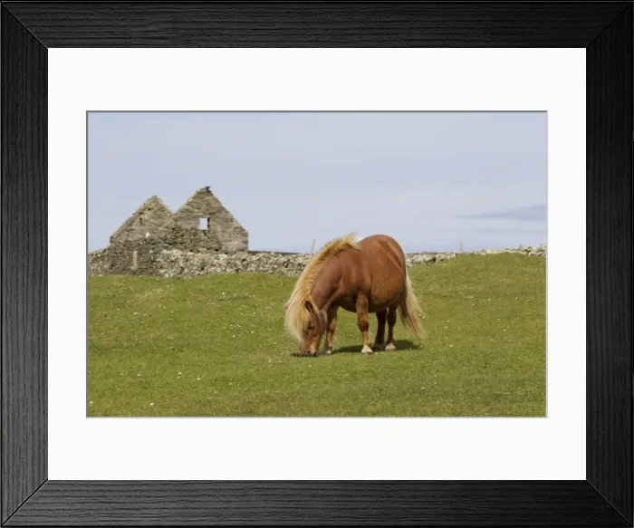 Framed Print : Picture No. 10894577 Framed Print : Picture No. 10894577