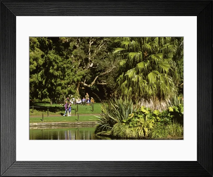 Framed Print : Picture No. 10766104 Framed Print : Picture No. 10766104