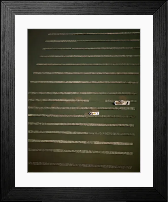 Framed Print : Picture No. 10765994 Framed Print : Picture No. 10765994