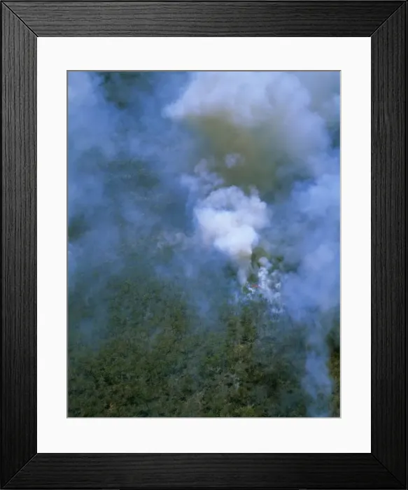 Framed Print : Picture No. 10766209 Framed Print : Picture No. 10766209