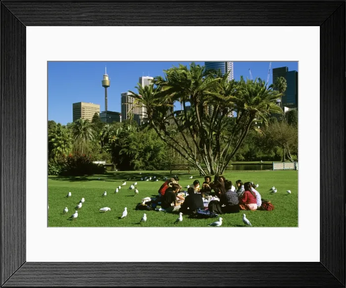 Framed Print : Picture No. 10766109 Framed Print : Picture No. 10766109