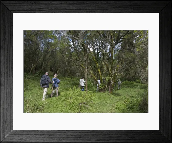 Framed Print : Picture No. 10895845 Framed Print : Picture No. 10895845
