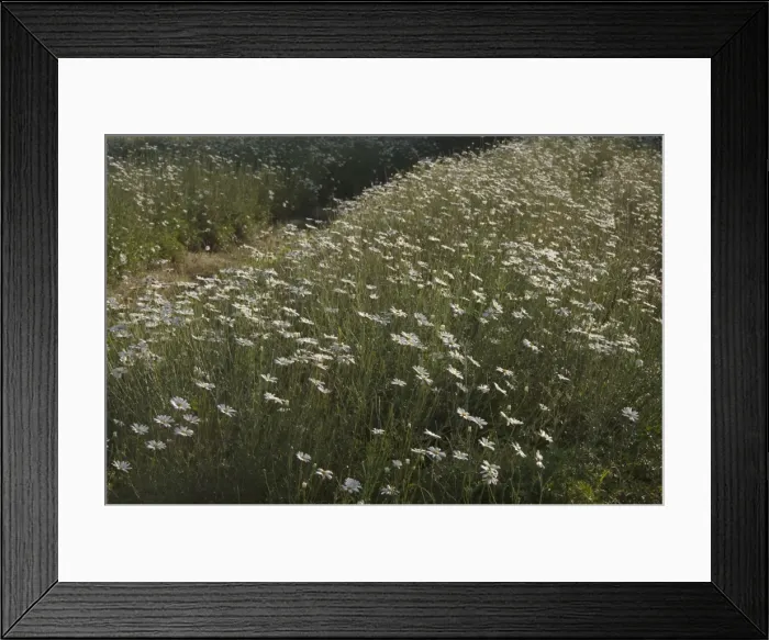 Framed Print : Picture No. 10895864 Framed Print : Picture No. 10895864
